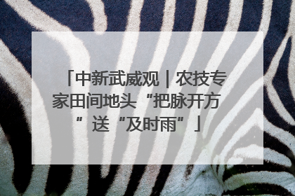 中新武威观｜农技专家田间地头“把脉开方”送“及时雨”